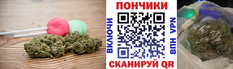 Canna-Cookies конопля сколько стоит Мосальск