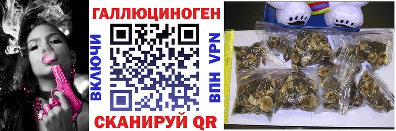 наркотики  Мосальск  Псилоцибиновые грибы Psilocybine cubensis 